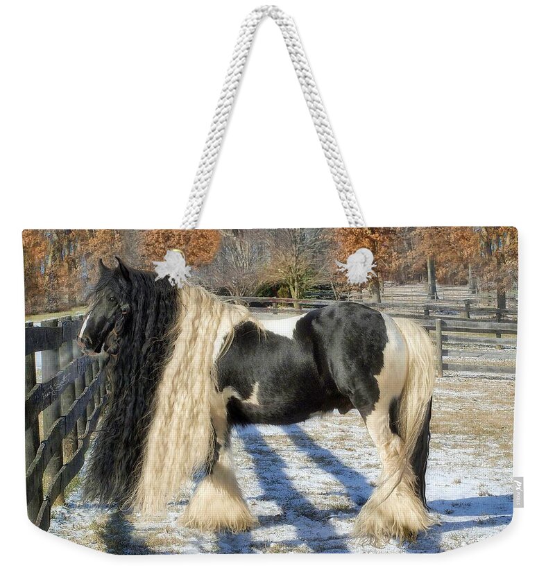 Horses Weekender Tote Bag featuring the photograph Traditional Gypsy Horse by Fran J Scott
