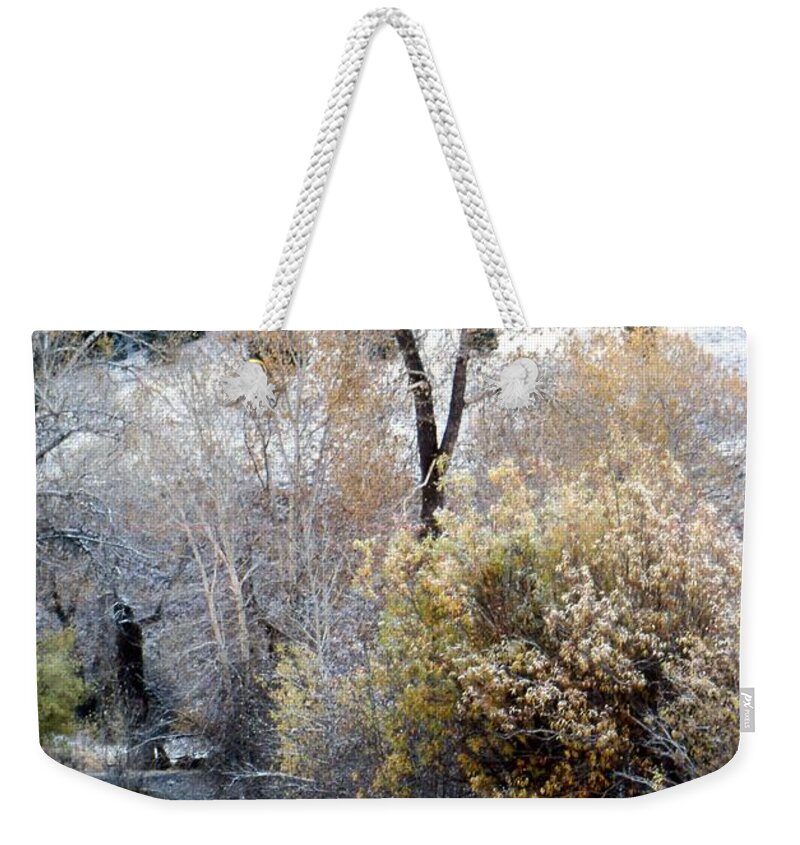 Autumn Weekender Tote Bag featuring the photograph Trail Creek by John Schneider
