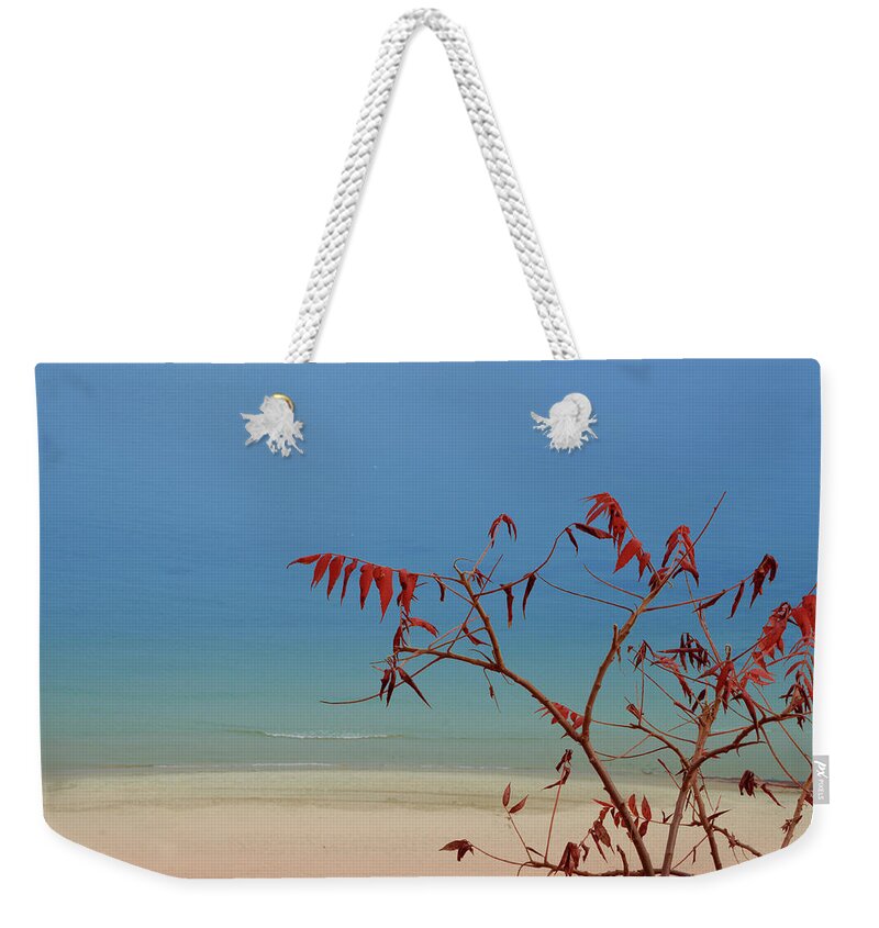 Landscape Weekender Tote Bag featuring the photograph Tranquil Blue by Arthur Fix
