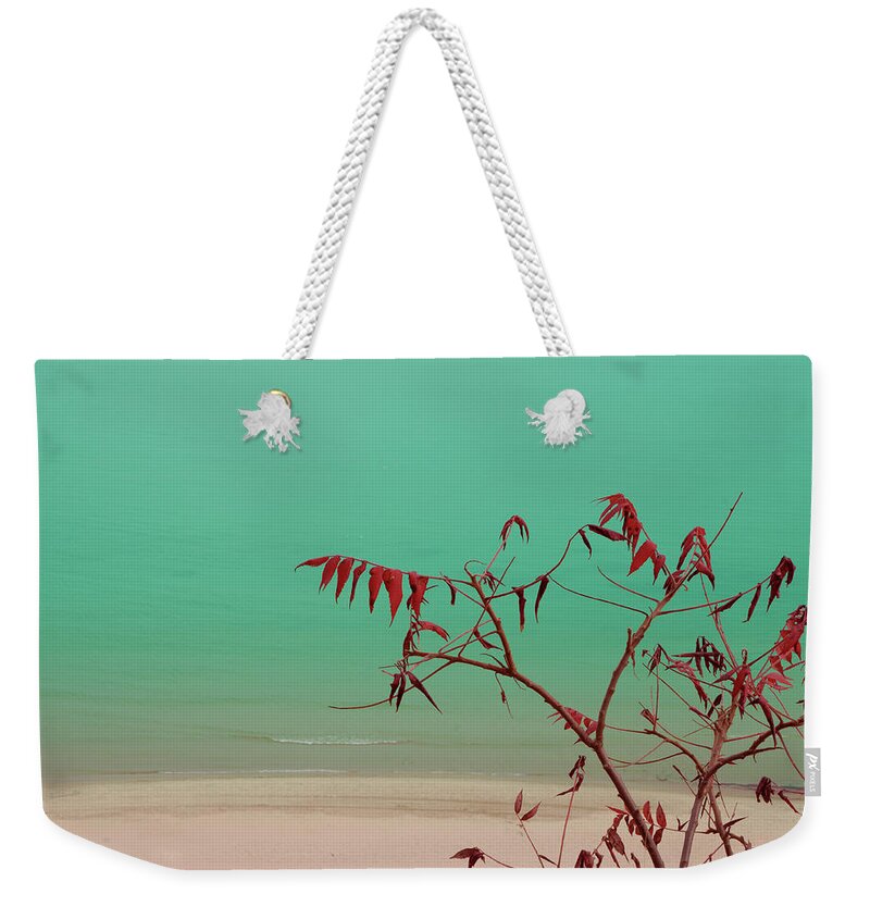 Beach Weekender Tote Bag featuring the photograph Tranquil View by Arthur Fix