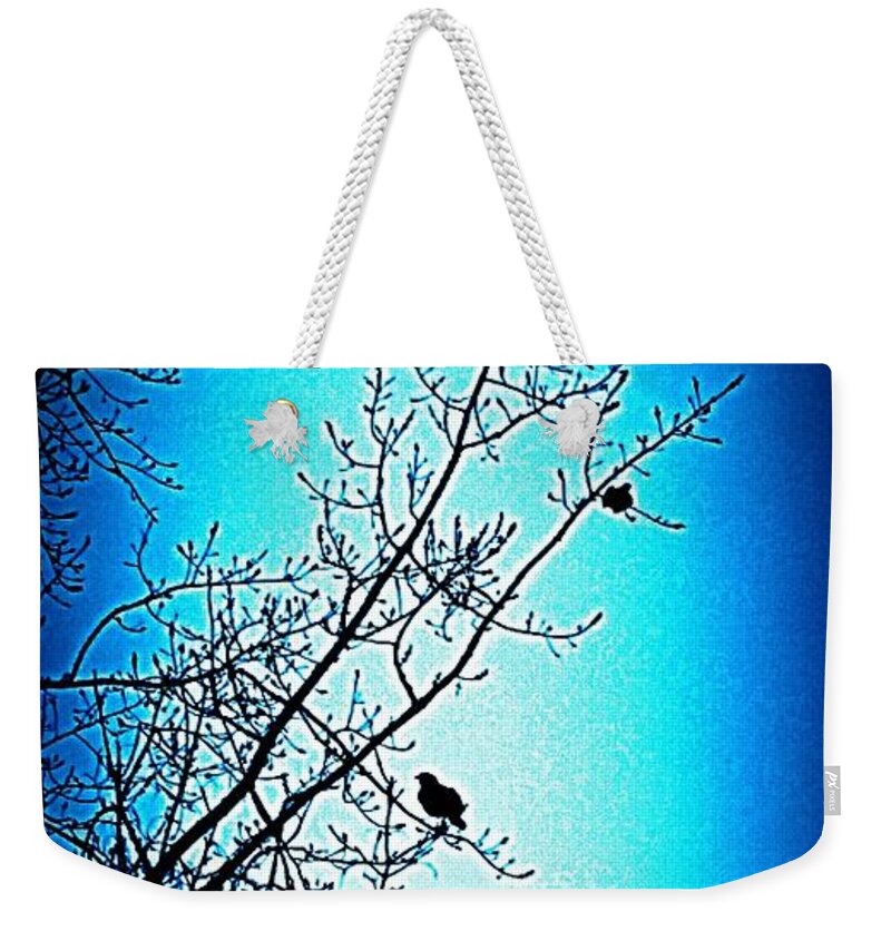 Tree Weekender Tote Bag featuring the photograph Tranquility by Diamante Lavendar
