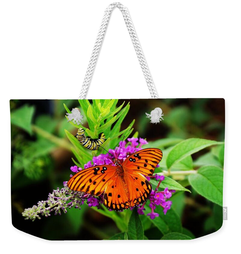  Weekender Tote Bag featuring the photograph Transformation by Rodney Lee Williams