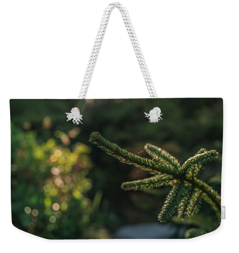 Plant Weekender Tote Bag featuring the photograph Transformer by Gene Garnace