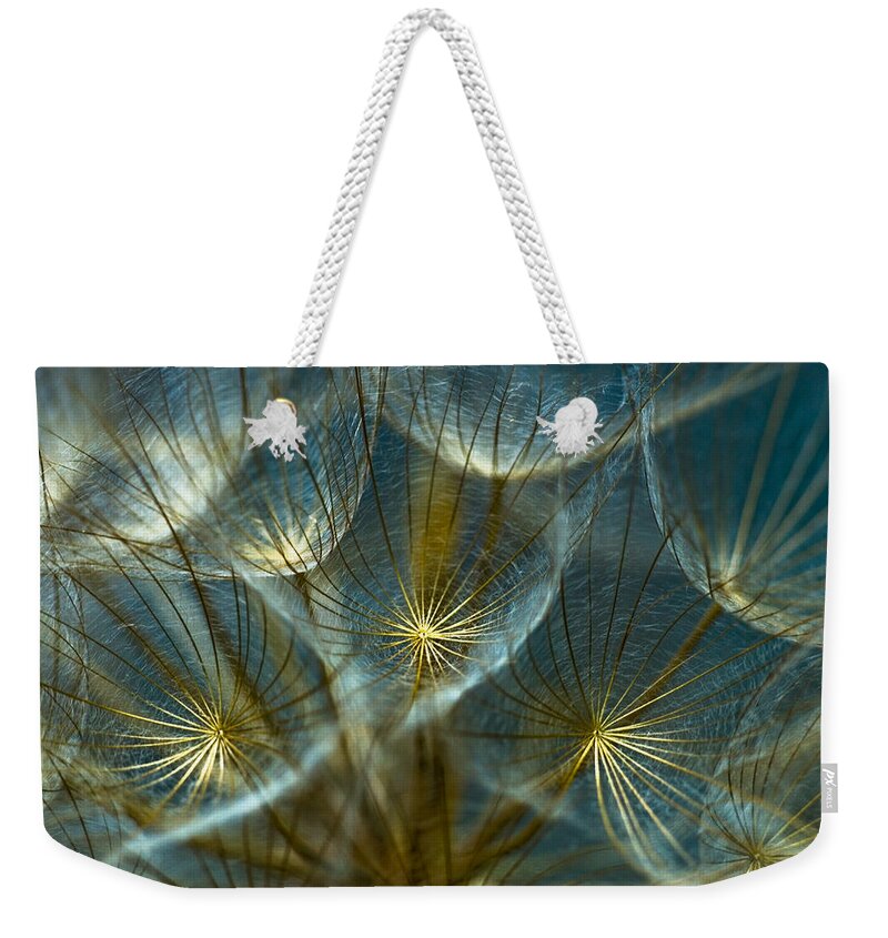 Dandelion Weekender Tote Bag featuring the photograph Translucid Dandelions by Iris Greenwell