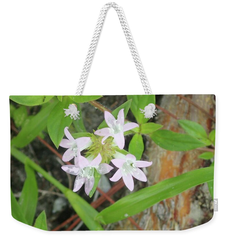 Pink Flowers Weekender Tote Bag featuring the photograph Transparent flowers by Denise Cicchella