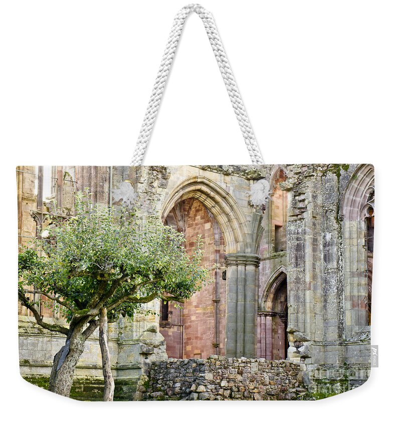 Old Tree Weekender Tote Bag featuring the photograph Tree at the Wall by Elena Perelman