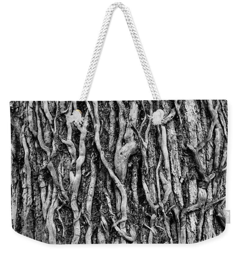 Abstract Weekender Tote Bag featuring the photograph Tree Bark Abstract by Tom Mc Nemar
