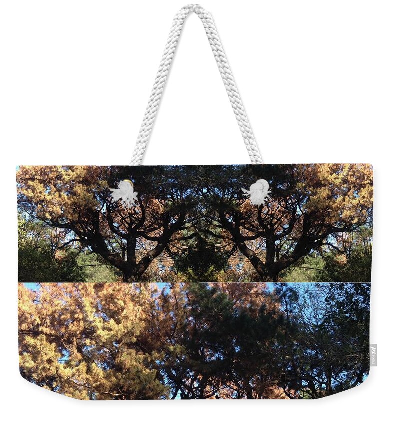 Tree Weekender Tote Bag featuring the photograph Tree Chandelier by Nora Boghossian