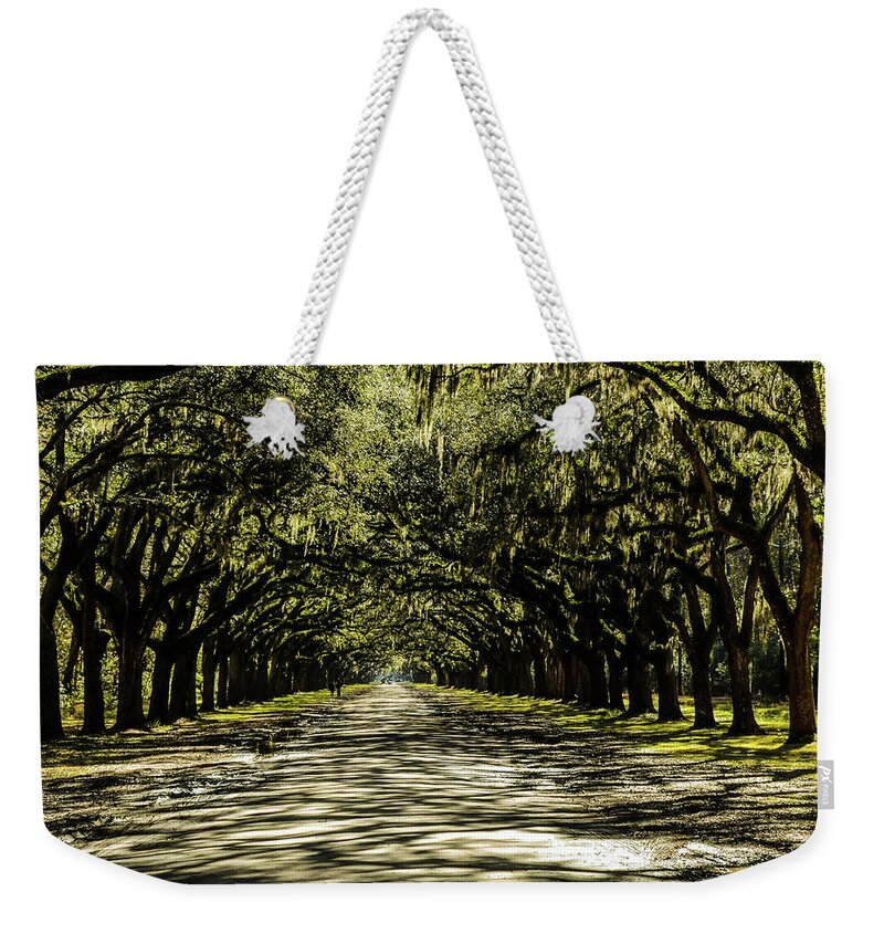 Trees Weekender Tote Bag featuring the photograph Tree Covered Approach by Chuck Brown
