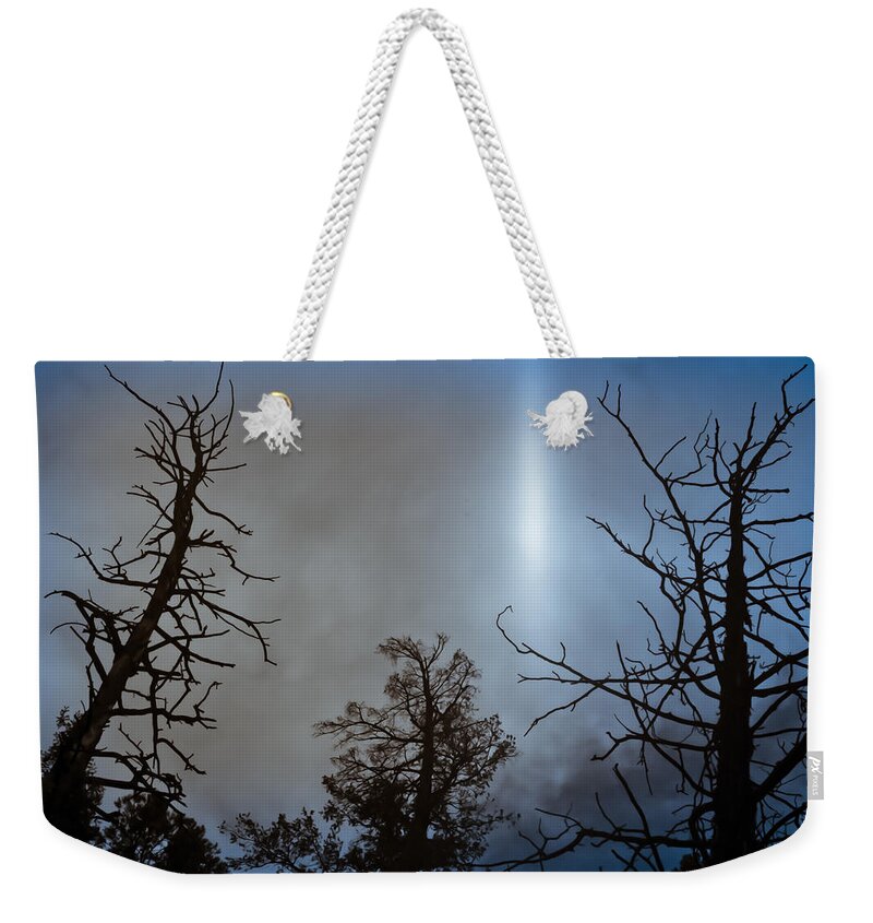 Trees Weekender Tote Bag featuring the photograph Tree Flash by Scott Sawyer