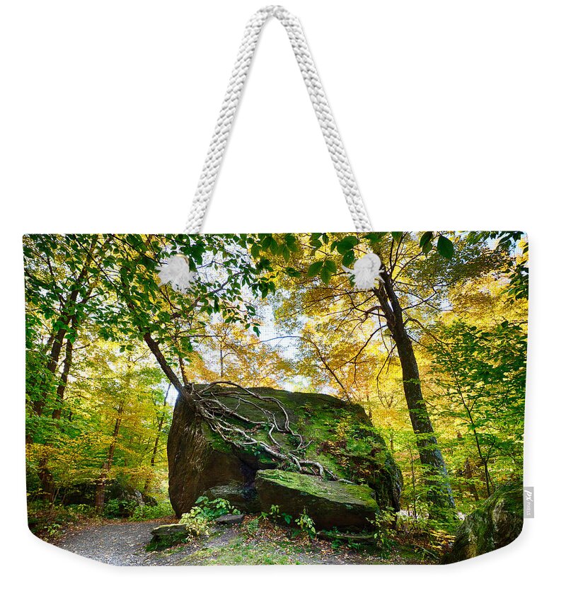 #jefffolger Weekender Tote Bag featuring the photograph Tree growing from living rock on Smuggler's Notch by Jeff Folger