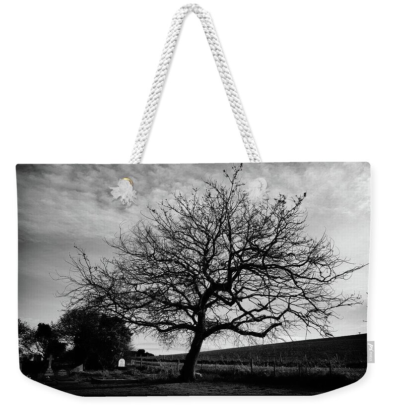 Landscape Weekender Tote Bag featuring the photograph Tree in a country cemetery in winter by Frank Lee