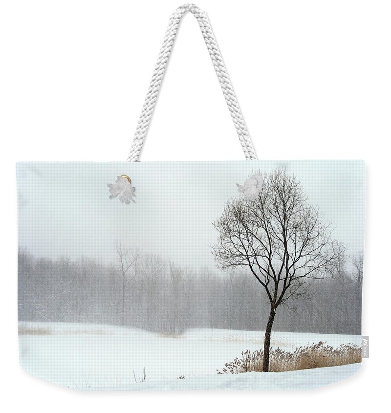 Winter Weekender Tote Bag featuring the photograph Tree in misty haze of winter blizzard by GoodMood Art