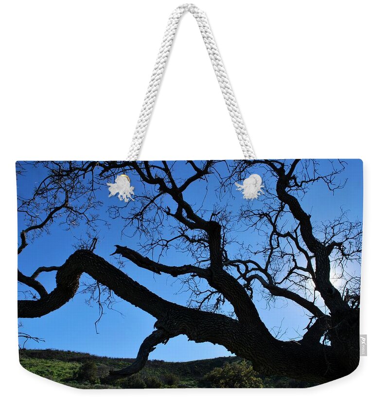 Tree Weekender Tote Bag featuring the photograph Tree in Rural Hills - Silhouette View by Matt Quest