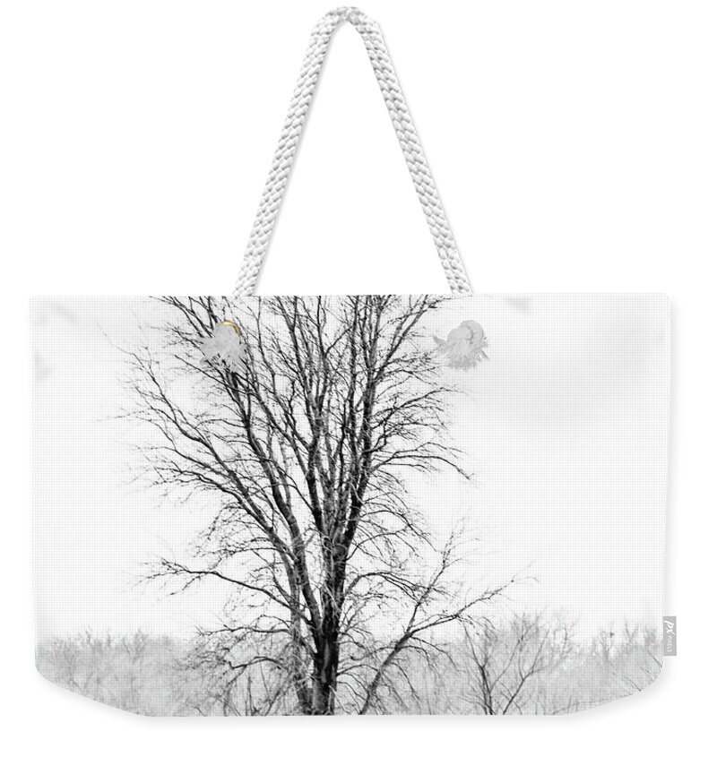 Jay Stockhaus Weekender Tote Bag featuring the photograph Tree in the Fog by Jay Stockhaus