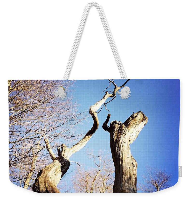Tree Weekender Tote Bag featuring the photograph Tree by Matthias Hauser