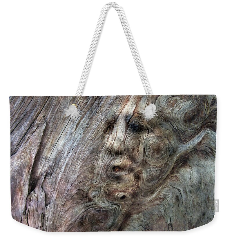 Trees Weekender Tote Bag featuring the photograph Tree Memories # 10 by Ed Hall