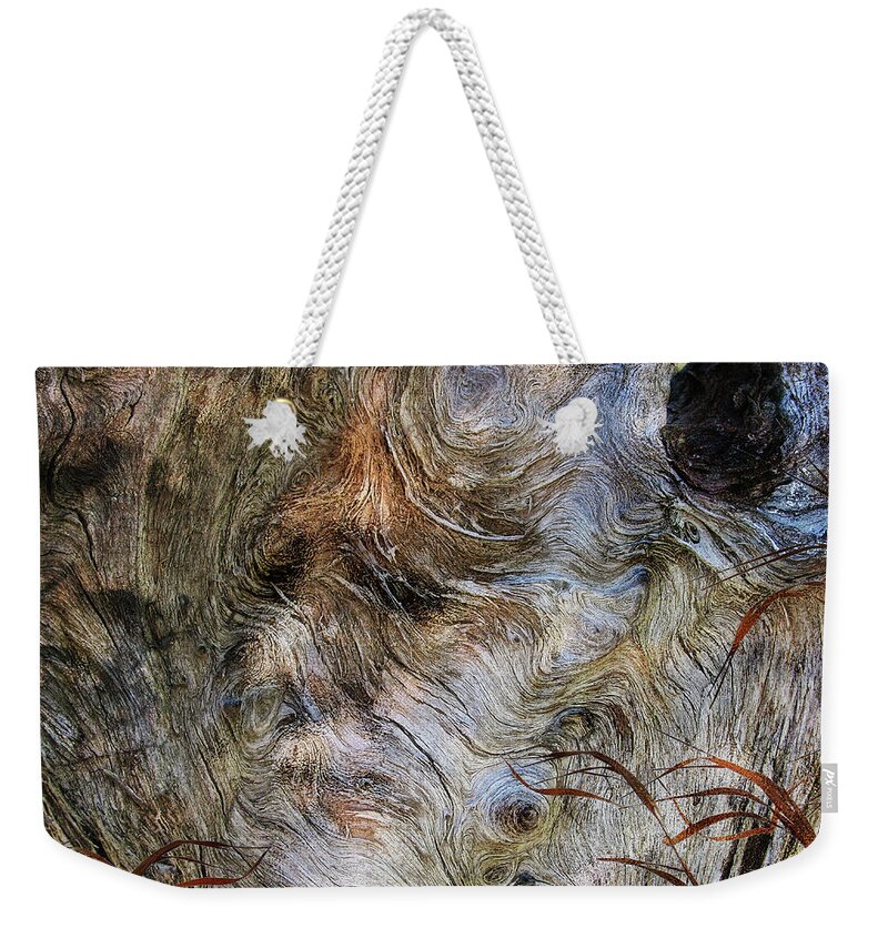 Trees Weekender Tote Bag featuring the photograph Tree Memories # 35 by Ed Hall