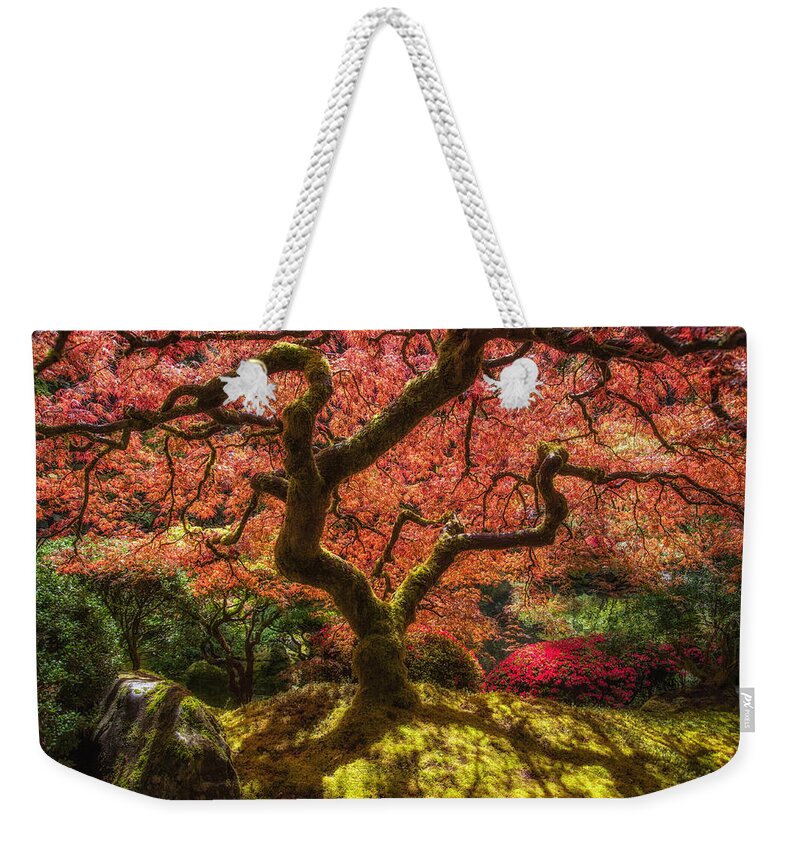 Tree Weekender Tote Bag featuring the photograph Tree of Flames by Harry Spitz