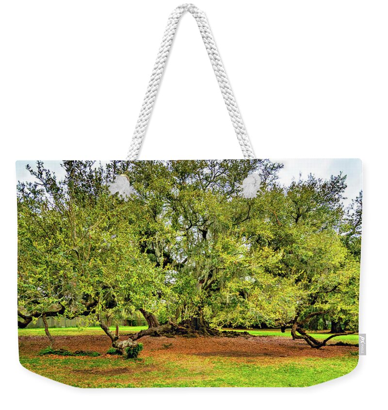 New Orleans Weekender Tote Bag featuring the photograph Tree of Life 2 - Paint by Steve Harrington