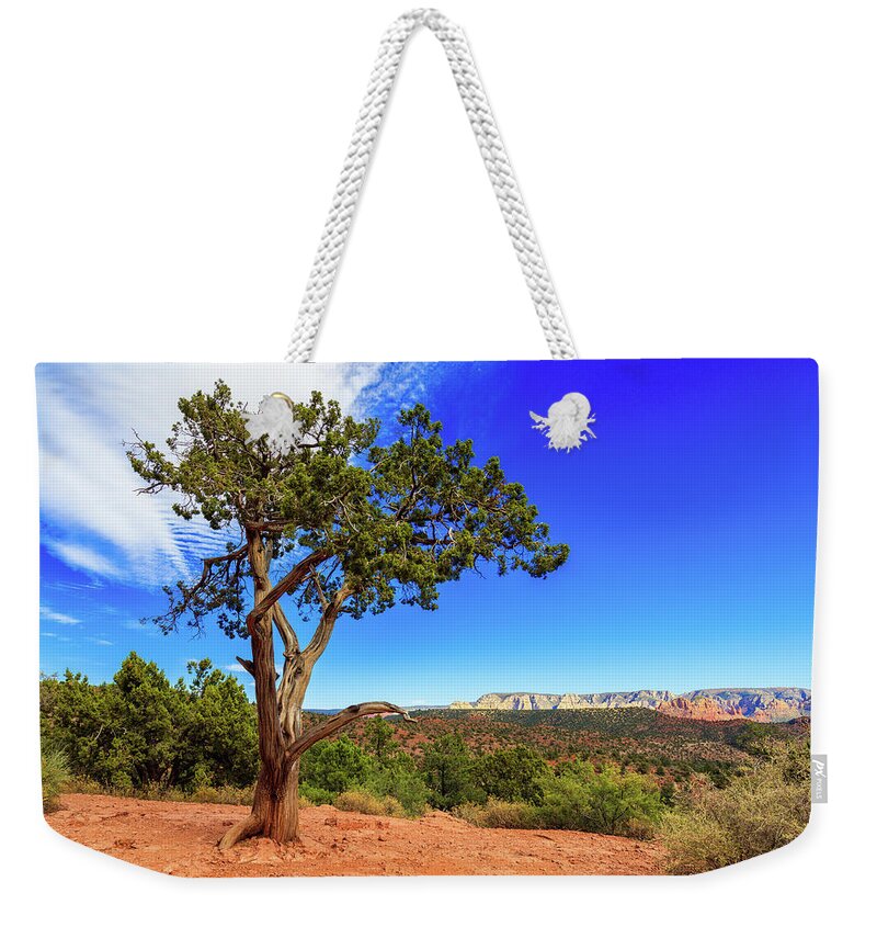 Arizona Weekender Tote Bag featuring the photograph Tree of Life by Raul Rodriguez