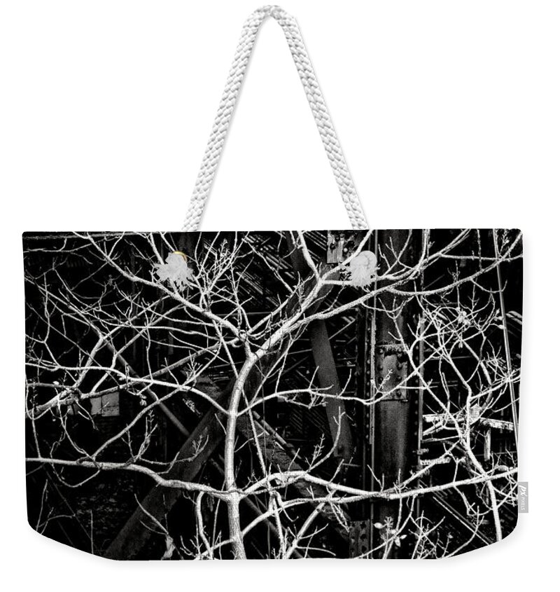 Resilient Weekender Tote Bag featuring the photograph Tree of Non Life by Olivier Le Queinec