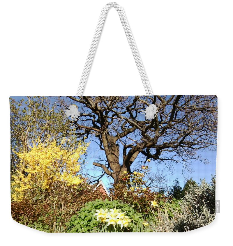 Tree Weekender Tote Bag featuring the photograph Tree Photo 991 by Julia Woodman