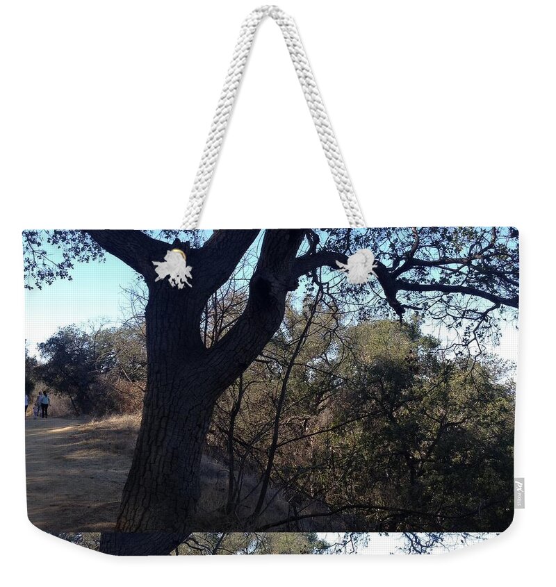 Tree Weekender Tote Bag featuring the photograph Tree Silhouette Collage by Nora Boghossian