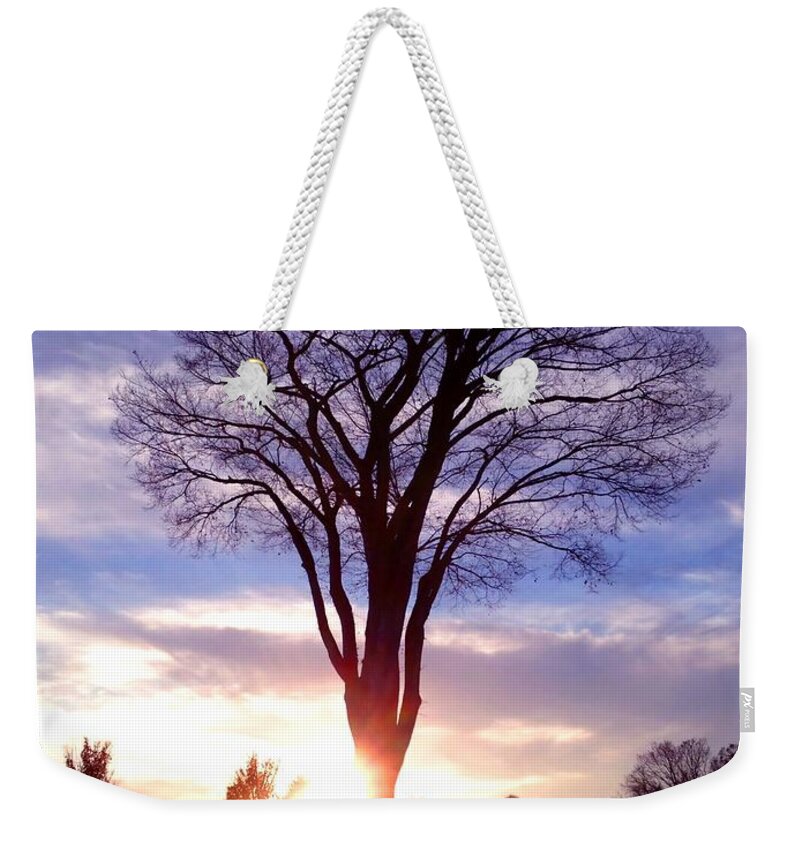 Landscape Weekender Tote Bag featuring the photograph Tree Sun Lit by Morgan Carter
