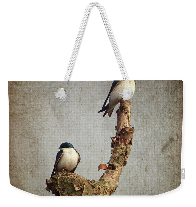 Birds Weekender Tote Bag featuring the photograph Tree Swallows by Al Mueller