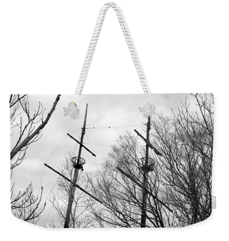 Trees Weekender Tote Bag featuring the photograph Tree Types by Valentino Visentini