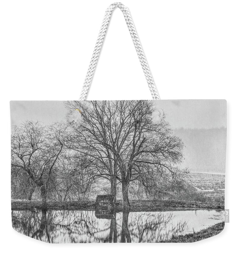 Black And White Weekender Tote Bag featuring the photograph Trees in fog Kennebunk Maine by David Smith