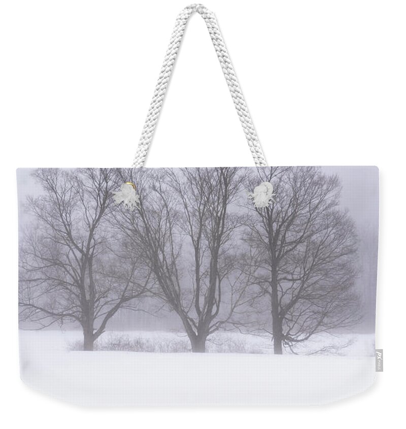 Williamsville Vermont Weekender Tote Bag featuring the photograph Trees In Fog by Tom Singleton