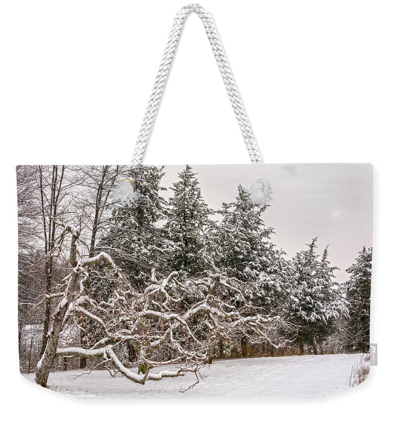 Magic Hour Weekender Tote Bag featuring the photograph Trees Of Winter by Angelo Marcialis