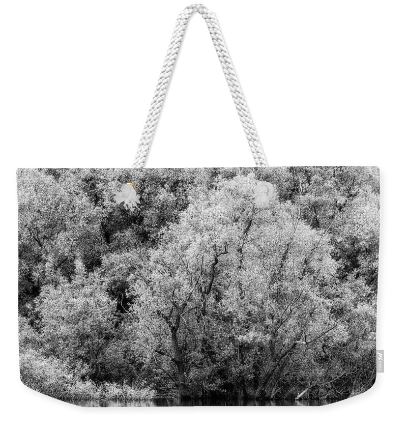 Adda Weekender Tote Bag featuring the photograph Trees on the river by Roberto Pagani