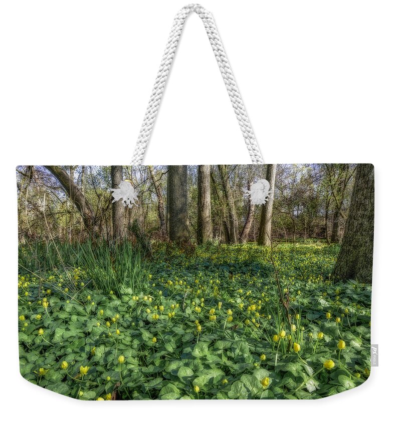 Area Weekender Tote Bag featuring the photograph Trees by Peter Lakomy