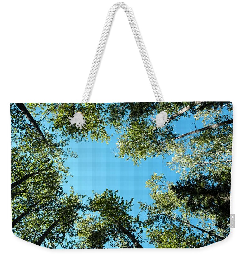 British Columbia Weekender Tote Bag featuring the photograph Trees Toward Heaven by Mary Lee Dereske