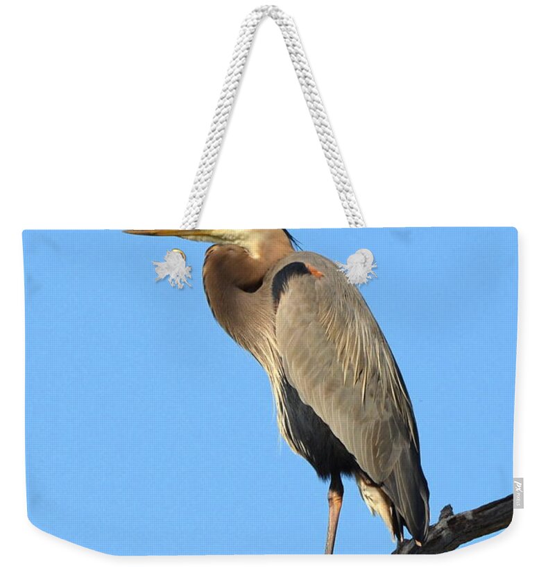 Great Blue Heron Weekender Tote Bag featuring the photograph Treetop Great Blue Heron by Carla Parris