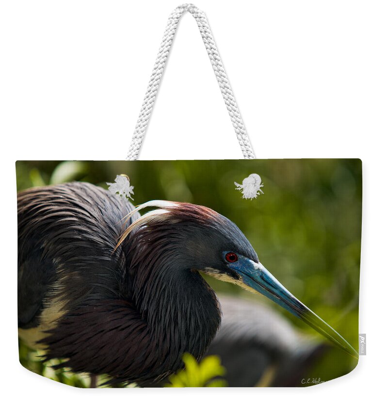 Nature Weekender Tote Bag featuring the photograph Tri-Colored Heron by Christopher Holmes