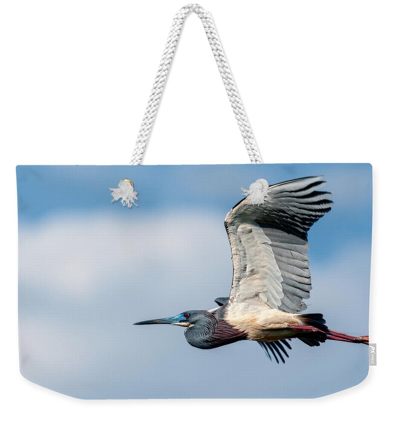 Art Weekender Tote Bag featuring the photograph Tri-Colored Heron In Flight by Christopher Holmes