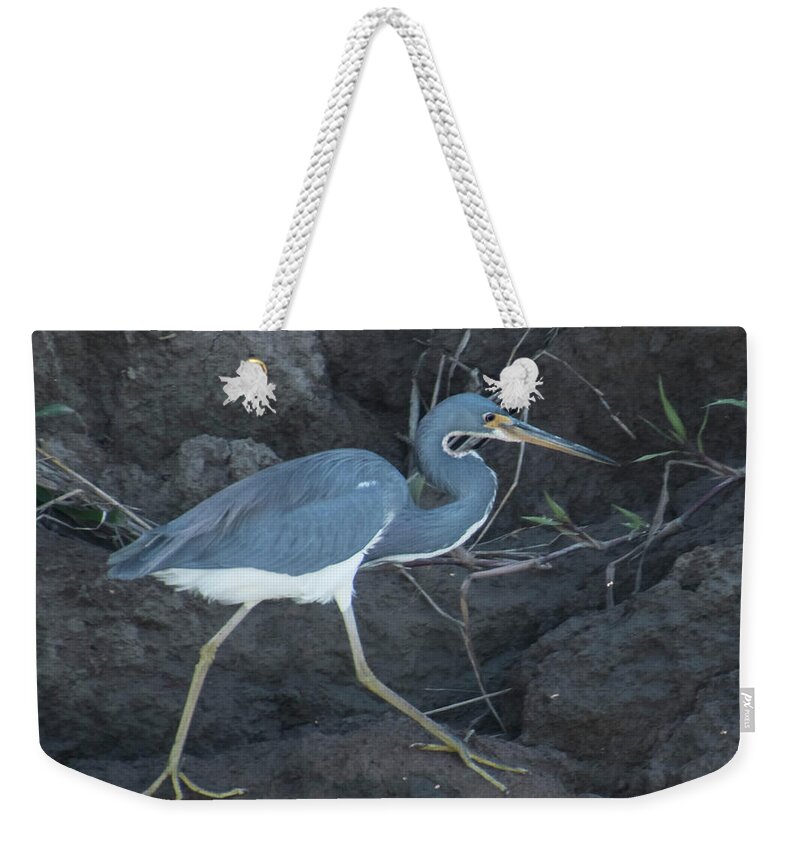 Tropical Bird Weekender Tote Bag featuring the photograph Tri-Colored Heron by Jessica Levant