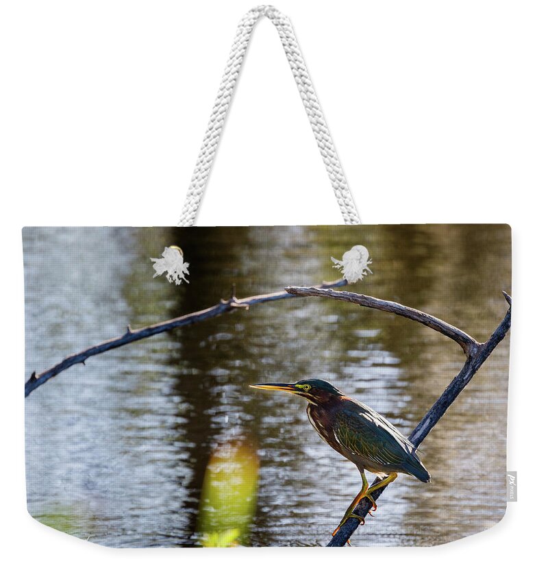 Heron Weekender Tote Bag featuring the photograph Green Heron by Les Greenwood