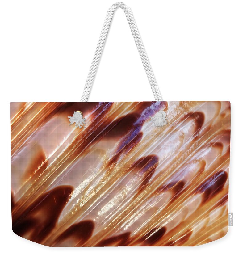 Seashell Abstract Weekender Tote Bag featuring the photograph Triton Seashell Abstract by Gill Billington
