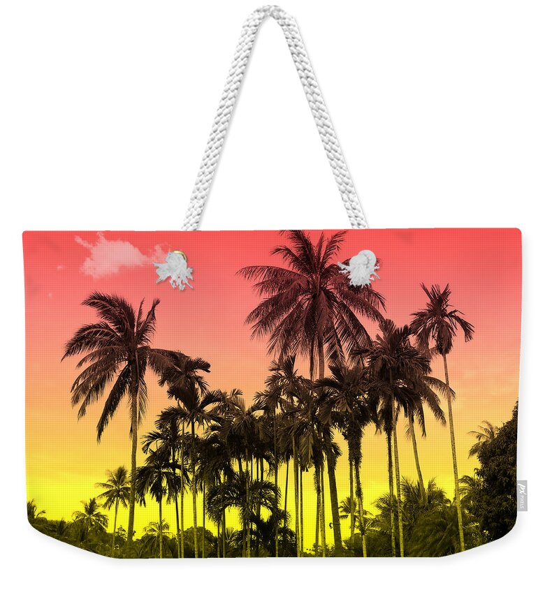  Weekender Tote Bag featuring the photograph Tropical 9 by Mark Ashkenazi