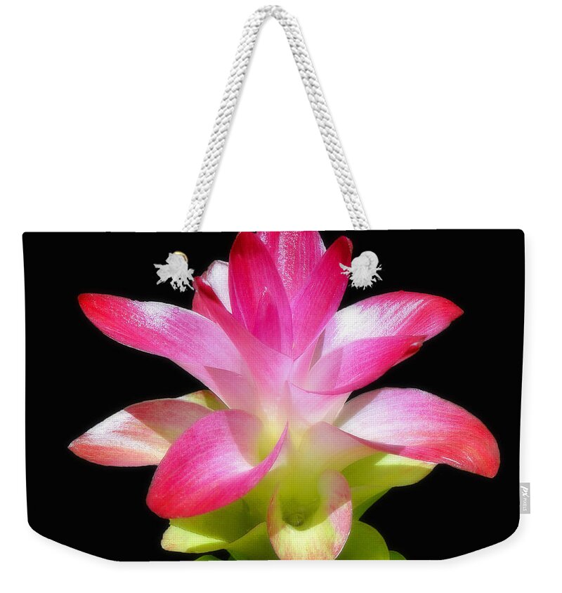 Lily Weekender Tote Bag featuring the photograph Tropical Bliss by Sue Melvin