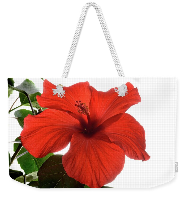 Hibiscus Weekender Tote Bag featuring the photograph Tropical Bloom. by Terence Davis
