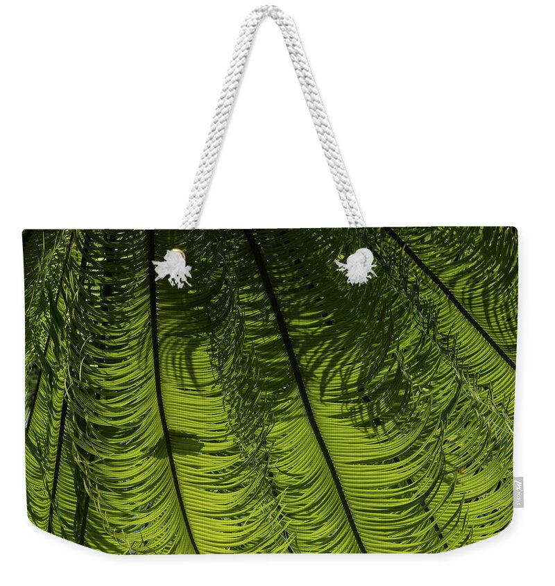 Georgia Mizuleva Weekender Tote Bag featuring the photograph Tropical Green Rhythms - Feathery Fern Fronds - Horizontal View Down Right by Georgia Mizuleva