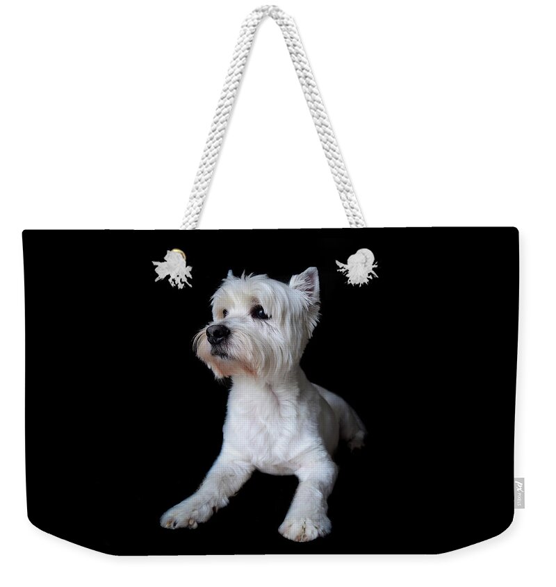 Westie Weekender Tote Bag featuring the photograph Trot Posing by Nicole Lloyd