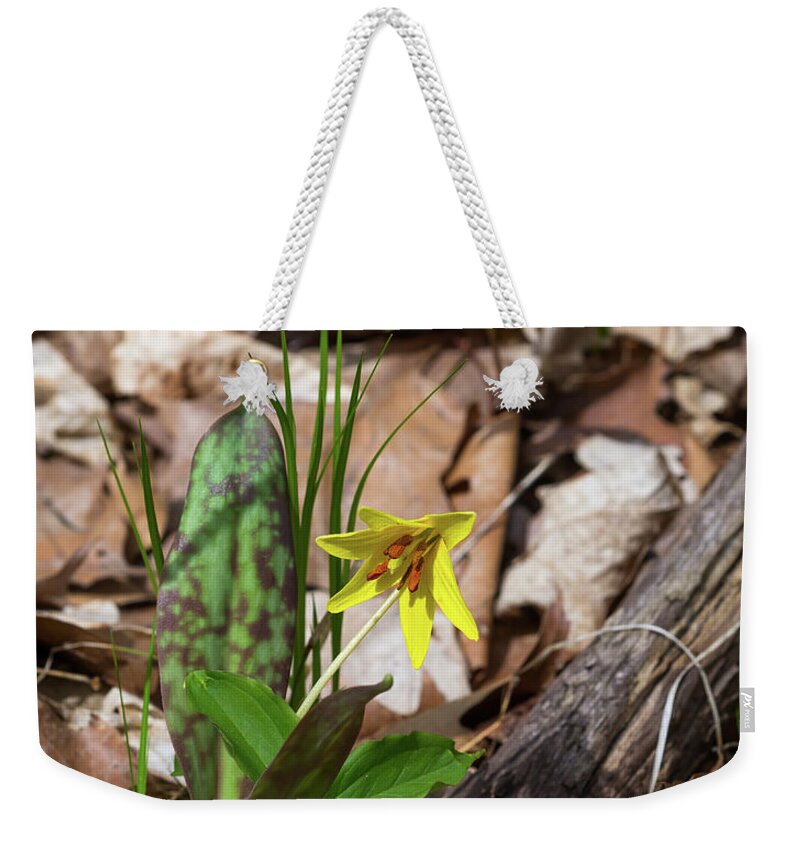 Trout Weekender Tote Bag featuring the photograph Trout Lily Flower by Les Palenik