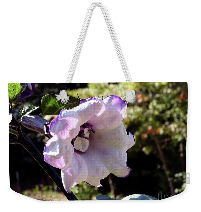 Photoshop Weekender Tote Bag featuring the photograph Trumpet Flower by Melissa Messick